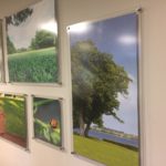 acrylic film